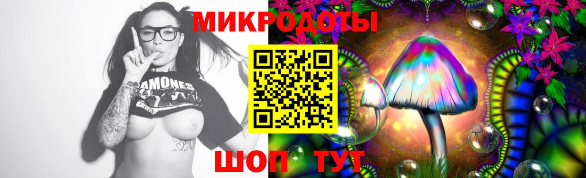 Малоярославец  закладка  Вход с VPN  Псилоцибиновые грибы Magic Shrooms 